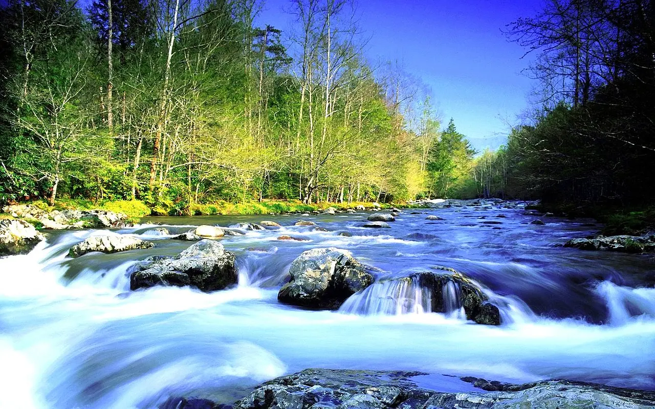 El real costo del agua envasada