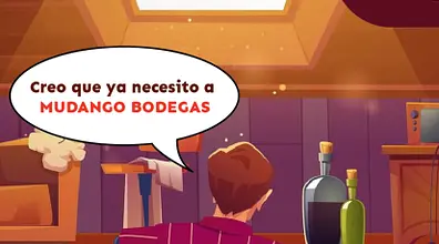 Mini bodegas: La solución ideal para almacenar objetos estacionales y artículos de temporada